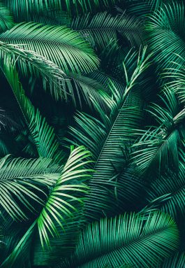 Ποιότητα και Ασφάλεια